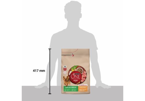 PURINA ONE MINI / Сухой корм Пурина УАН для взрослых собак мелких пород при активном образе жизни с курицей