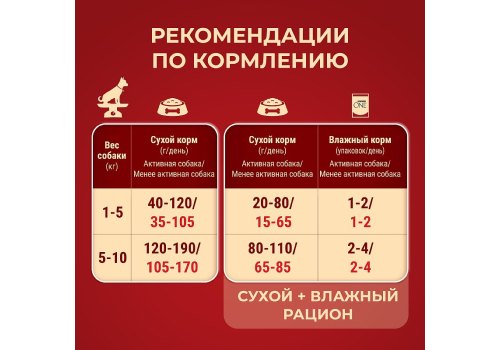 PURINA ONE MINI / Сухой корм Пурина УАН для взрослых собак мелких пород при активном образе жизни с курицей