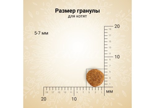 Craftia Harmona Kitten Chicken & Fish / Сухой корм Крафтия для Котят Курица рыба