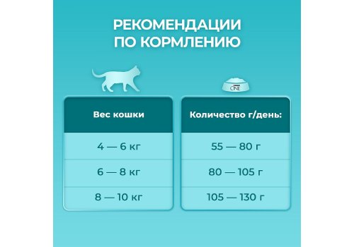 PURINA ONE STERILISED / Сухой корм Пурина УАН для взрослых стерилизованных кошек с лососем