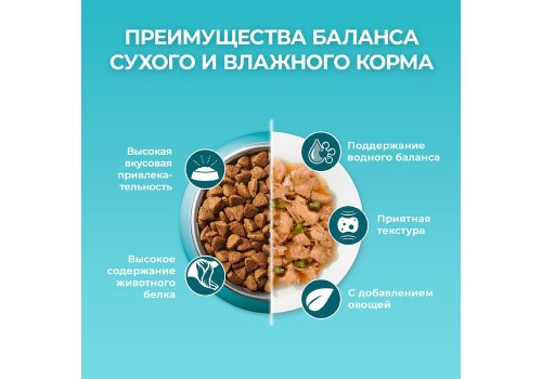 PURINA ONE STERILISED / Сухой корм Пурина УАН для взрослых стерилизованных кошек с лососем