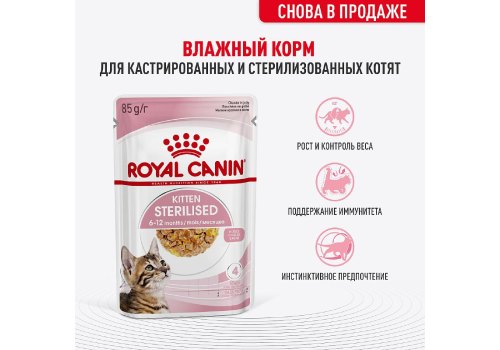 Royal Canin Kitten Sterilised Jelly / Влажный корм (Консервы-Паучи) Роял Канин Киттен Стерилайзд для Стерилизованных Котят в возрасте от 6 до 12 месяцев в Желе (цена за упаковку)