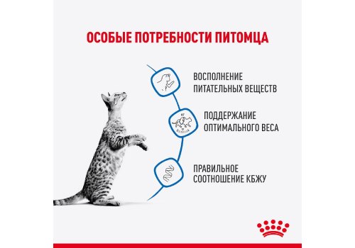 Royal Canin Indoor / Влажный корм (Консервы-Паучи) Роял Канин Индор для Стерилизованных кошек Живущих в помещении в Соусе (цена за упаковку)
