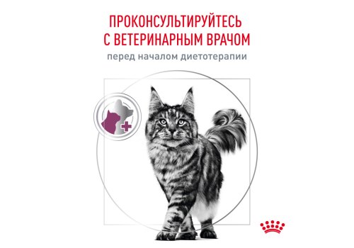 Royal Canin Renal RF23/ Ветеринарный сухой корм Роял Канин Ренал для кошек Заболевание почек (хроническая почечная недостаточность)