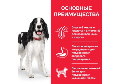 Hills Science Plan Adult 1-6 Medium Chicken / Сухой корм Хиллс для собак Средних пород Курица