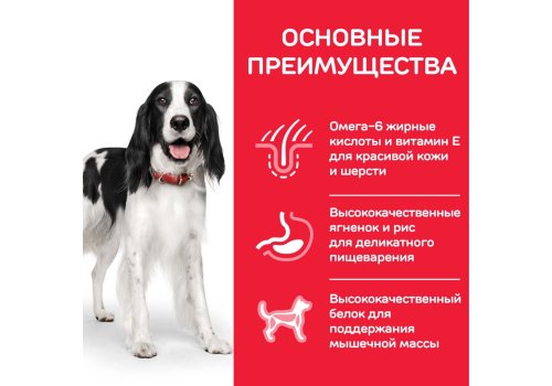 Hills Science Plan Adult 1-6 Medium Lamb & Rice / Сухой корм Хиллс для взрослых собак Средних пород Ягненок с рисом