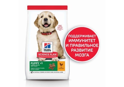 Hills Science Plan Puppy Large / Сухой корм Хиллс для Щенков Крупных пород Курица