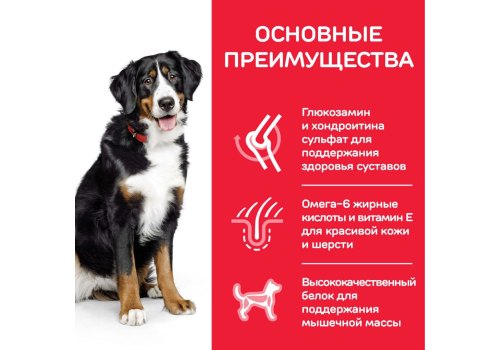 Hills Science Plan Adult 1-6 Large Chicken / Сухой корм Хиллс для собак Крупных пород Курица