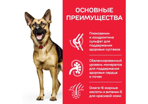 Hills Science Plan Mature Adult 6+ Large Chicken / Сухой корм Хиллс для собак Крупных пород старше 6 лет Курица