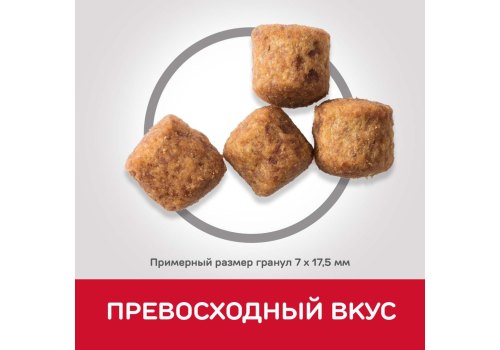 Hills Science Plan Mature Adult 6+ Large Chicken / Сухой корм Хиллс для собак Крупных пород старше 6 лет Курица