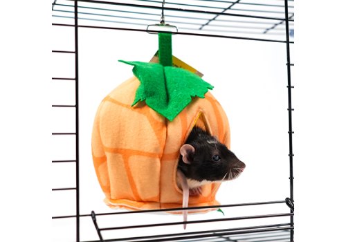 Bambini Pets / Домик Тыковка из фетра Бамбини Петс для Грызунов и Хорьков