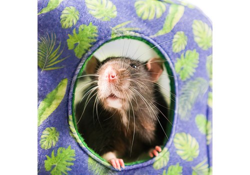 Bambini Pets / Подвесной Домик-гамак Куб из фетра Бамбини Петс для Грызунов и Хорьков