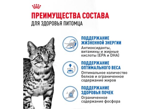 Royal Canin Indoor 7+ / Влажный корм (Консервы-Паучи) Роял Канин Индор для Стерилизованных Пожилых кошек старше 7 лет Живущих в помещении в Желе (цена за упаковку)