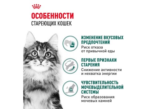 Royal Canin Instinctive 7+ / Влажный корм (Консервы-Паучи) Роял Канин Инстинктив для Пожилых кошек старше 7 лет в Соусе (цена за упаковку)