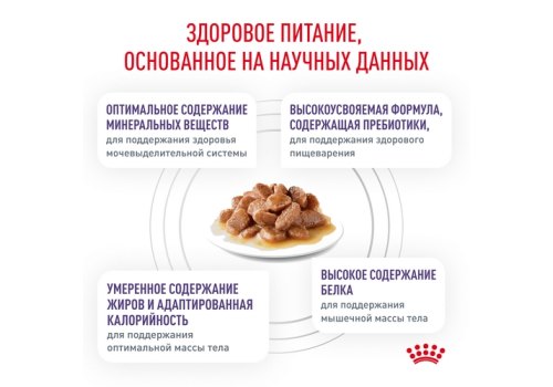 Royal Canin Neutered Maintenance / Ветеринарный влажный корм (Консервы-Паучи) Роял Канин Ньютеред Мэйнтенэнс для Взрослых Кастрированных котов и Стерилизованных кошек в Соусе (цена за упаковку)