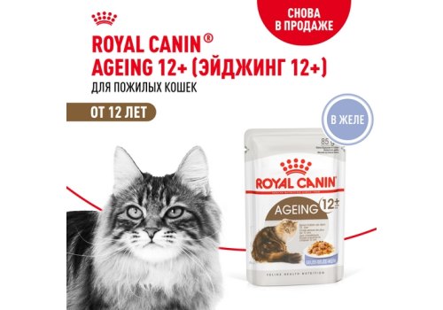 Royal Canin Ageing 12+ Jelly / Влажный корм (Консервы-Паучи) Роял Канин Эйжинг для Пожилых кошек старше 12 лет в Желе (цена за упаковку)