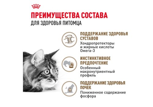 Royal Canin Ageing 12+ Jelly / Влажный корм (Консервы-Паучи) Роял Канин Эйжинг для Пожилых кошек старше 12 лет в Желе (цена за упаковку)