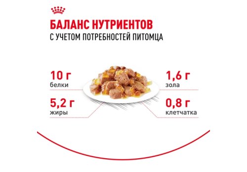 Royal Canin Ageing 12+ Jelly / Влажный корм (Консервы-Паучи) Роял Канин Эйжинг для Пожилых кошек старше 12 лет в Желе (цена за упаковку)