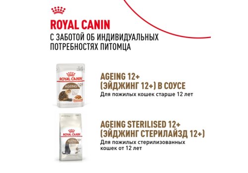 Royal Canin Ageing 12+ Jelly / Влажный корм (Консервы-Паучи) Роял Канин Эйжинг для Пожилых кошек старше 12 лет в Желе (цена за упаковку)