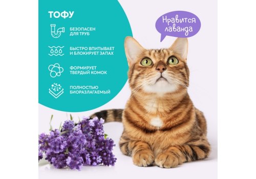 Cats Choice / Растительный комкующийся наполнитель Тофу Кэт Чойс для кошачьего туалета с ароматом Лаванда