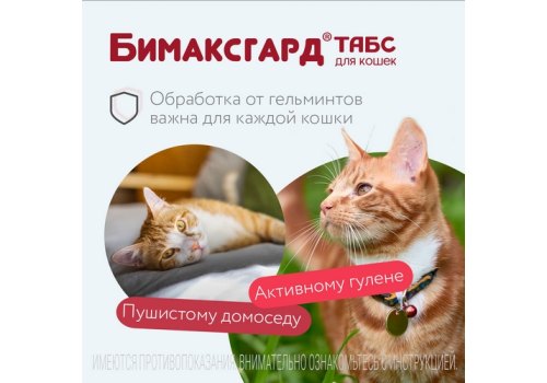 Бимаксгард ТАБС антигельминтик для Котят и маленьких кошек