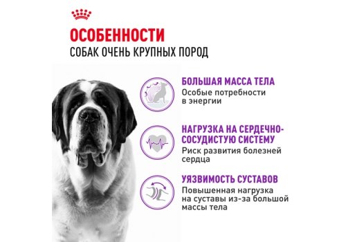 Royal Canin Giant Adult / Сухой корм Роял Канин Джайнт Эдалт для Взрослых собак Гигантских пород в возрасте старше 2 лет