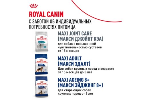 Royal Canin Maxi Adult 5+ / Сухой корм Роял Канин Макси Эдалт 5+ для взрослых собак Крупных пород в возрасте от 5 до 8 лет