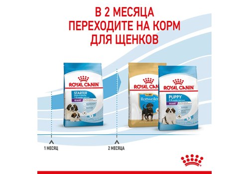 Royal Canin Giant Starter / Сухой корм Роял Канин Джайнт Стартер для Щенков Гигантских пород в возрасте до 2 месяцев