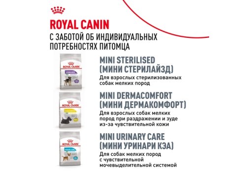 Royal Canin Breed dog Miniature Schnauzer Adult / Сухой корм Роял Канин для взрослых собак породы Миниатюрный Шнауцер старше 10 месяцев Royal Canin Breed dog Miniature Schnauzer Adult / Сухой корм Роял Канин для взрослых собак породы Миниатюрный Шнауцер старше 10 месяцев