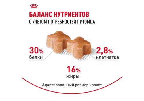 Royal Canin Breed dog German Shepherd Puppy / Сухой корм Роял Канин для Щенков породы Немецкая Овчарка в возрасте до 15 месяцев