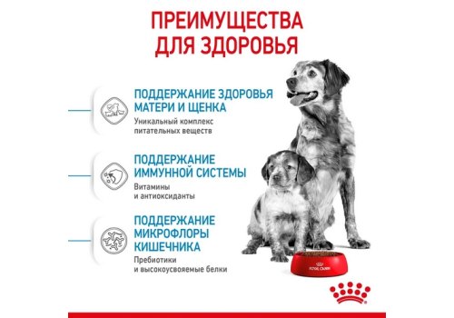 Royal Canin Medium Starter / Сухой корм Роял Канин Медиум Стартер для Щенков Средних пород в возрасте до 2 месяцев Royal Canin Medium Starter / Сухой корм Роял Канин Медиум Стартер для Щенков Средних пород в возрасте до 2 месяцев