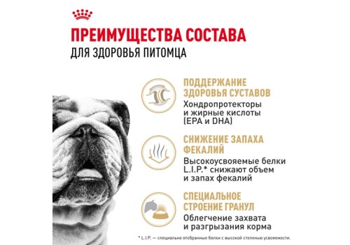 Royal Canin Breed dog Bulldog Adult / Сухой корм Роял Канин для взрослых собак породы Английский Бульдог старше 1 года