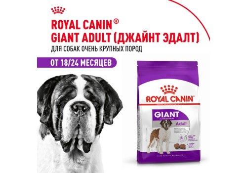 Royal Canin Giant Adult / Сухой корм Роял Канин Джайнт Эдалт для Взрослых собак Гигантских пород в возрасте старше 2 лет