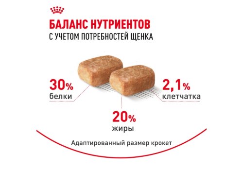 Royal Canin Breed dog Chihuahua Junior / Сухой корм Роял Канин для Щенков породы Чихуахуа в возрасте до 8 месяцев