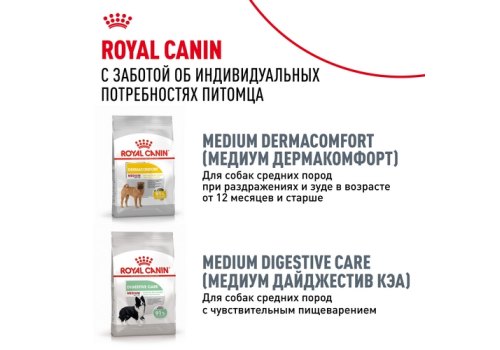 Royal Canin Breed dog Bulldog Adult / Сухой корм Роял Канин для взрослых собак породы Английский Бульдог старше 1 года