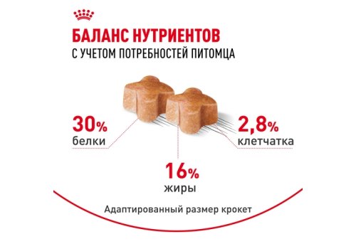 Royal Canin Breed dog Labrador Retriever Puppy / Сухой корм Роял Канин для Щенков породы Лабрадор в возрасте до 15 месяцев