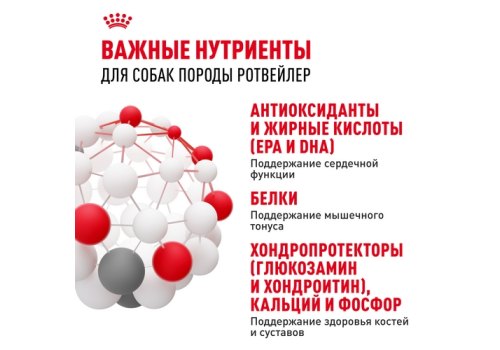 Royal Canin Breed dog Rottweiler Adult / Сухой корм Роял Канин для взрослых собак породы Ротвейлер старше 18 месяцев