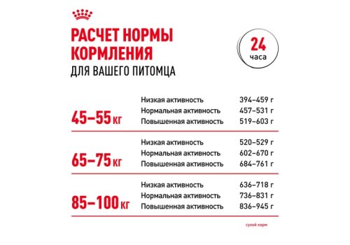 Royal Canin Giant Adult / Сухой корм Роял Канин Джайнт Эдалт для Взрослых собак Гигантских пород в возрасте старше 2 лет