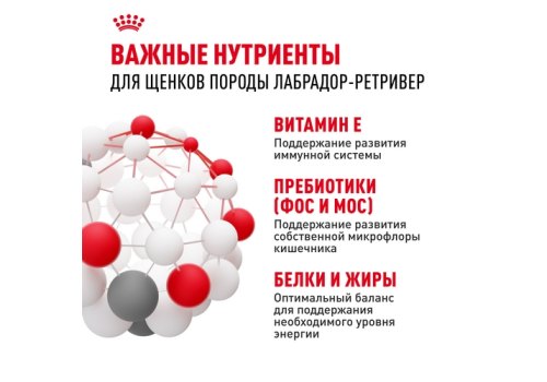 Royal Canin Breed dog Labrador Retriever Puppy / Сухой корм Роял Канин для Щенков породы Лабрадор в возрасте до 15 месяцев