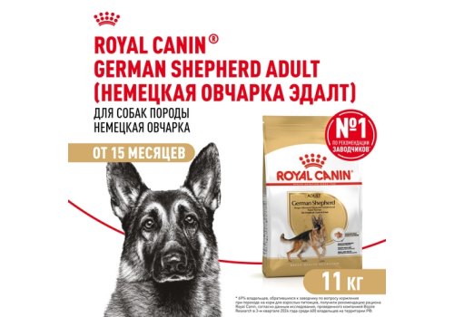 Royal Canin Breed dog German Shepherd Adult / Сухой корм Роял Канин для взрослых собак породы Немецкая Овчарка старше 15 месяцев