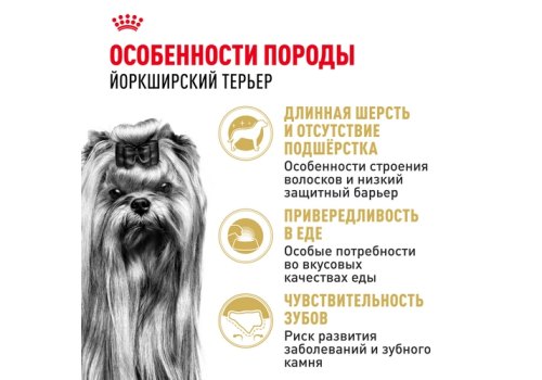 Royal Canin Breed dog Yorkshire Terrier Adult / Сухой корм Роял Канин для взрослых собак породы Йоркширский Терьер старше 10 месяцев