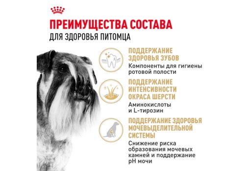 Royal Canin Breed dog Miniature Schnauzer Adult / Сухой корм Роял Канин для взрослых собак породы Миниатюрный Шнауцер старше 10 месяцев