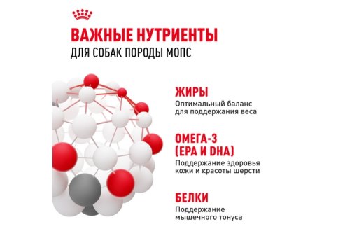 Royal Canin Breed dog Pug Adult / Сухой корм Роял Канин для взрослых собак породы Мопс старше 10 месяцев