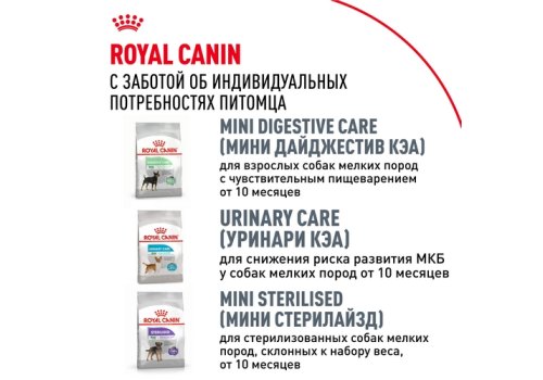 Royal Canin Breed dog Chihuahua Adult / Сухой корм Роял Канин для взрослых собак породы Чихуахуа старше 8 месяцев
