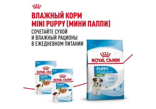 Royal Canin Mini Puppy / Сухой корм Роял Канин Мини Паппи для Щенков Мелких пород в возрасте от 2 до 10 месяцев