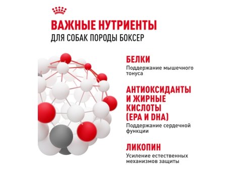 Royal Canin Breed dog Boxer Adult / Сухой корм Роял Канин для взрослых собак породы Боксер старше 15 месяцев