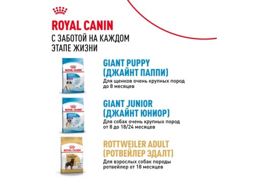 Royal Canin Giant Adult / Сухой корм Роял Канин Джайнт Эдалт для Взрослых собак Гигантских пород в возрасте старше 2 лет