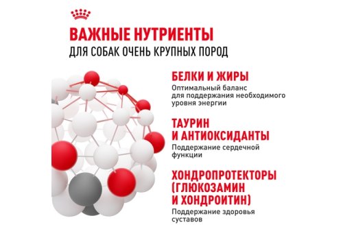 Royal Canin Giant Adult / Сухой корм Роял Канин Джайнт Эдалт для Взрослых собак Гигантских пород в возрасте старше 2 лет