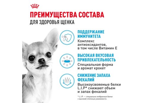 Royal Canin Breed dog Chihuahua Junior / Сухой корм Роял Канин для Щенков породы Чихуахуа в возрасте до 8 месяцев