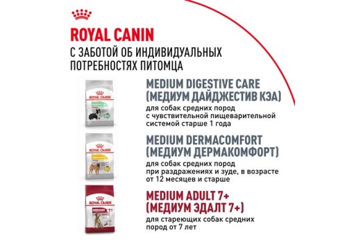 Royal Canin Medium Adult / Сухой корм Роял Канин Медиум Эдалт для Взрослых собак Средних пород в возрасте от 1 года до 7 лет